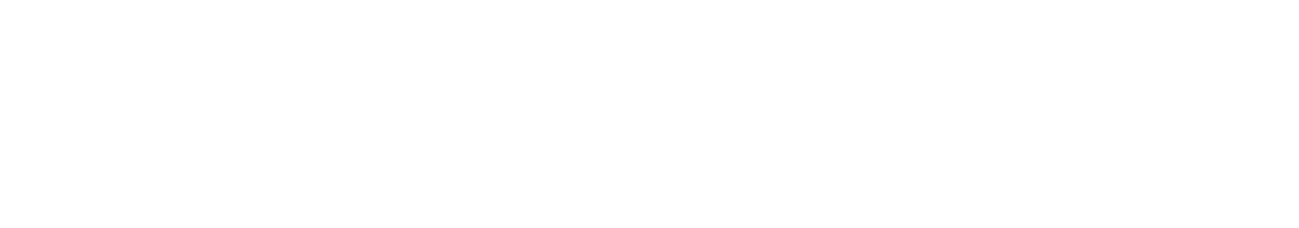 Systematic Jiu Jitsu Concept Logo
